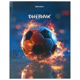 Дневник 1-4 класс 48л, твердый, BRAUBERG, глянцевая ламинация, с подсказом, МИКС УНИВЕРСАЛЬНЫЙ, 107587