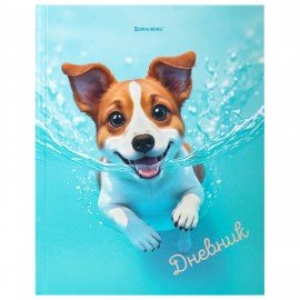 Дневник 1-4 класс 48л, твердый, BRAUBERG, глянцевая ламинация, с подсказом, МИКС УНИВЕРСАЛЬНЫЙ, 107587