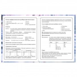 Дневник 1-4 класс 48л, твердый, BRAUBERG, глянцевая ламинация, с подсказом, Winter Cat, 107589