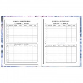 Дневник 1-4 класс 48л, твердый, BRAUBERG, глянцевая ламинация, с подсказом, Winter Cat, 107589