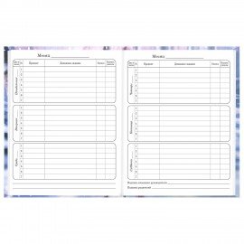 Дневник 1-4 класс 48л, твердый, BRAUBERG, глянцевая ламинация, с подсказом, Winter Cat, 107589