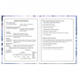 Дневник 1-4 класс 48л, твердый, BRAUBERG, глянцевая ламинация, с подсказом, Winter Cat, 107589