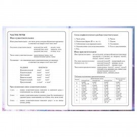 Дневник 1-4 класс 48л, твердый, BRAUBERG, глянцевая ламинация, с подсказом, Princess, 107590