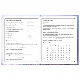 Дневник 1-4 класс 48л, твердый, BRAUBERG, глянцевая ламинация, с подсказом, Princess, 107590