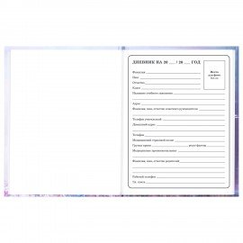 Дневник 1-4 класс 48л, твердый, BRAUBERG, глянцевая ламинация, с подсказом, Princess, 107590