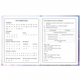 Дневник 1-4 класс 48л, твердый, BRAUBERG, глянцевая ламинация, с подсказом, Princess, 107590