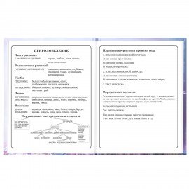 Дневник 1-4 класс 48л, твердый, BRAUBERG, глянцевая ламинация, с подсказом, Princess, 107590