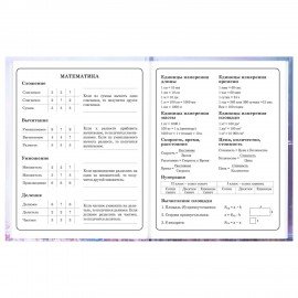 Дневник 1-4 класс 48л, твердый, BRAUBERG, глянцевая ламинация, с подсказом, Princess, 107590