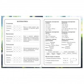 Дневник 1-4 класс 48л, твердый, BRAUBERG, выборочный лак, с подсказом, Оленёнок, 107595