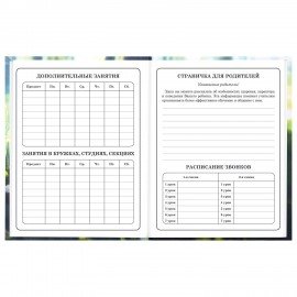 Дневник 1-4 класс 48л, твердый, BRAUBERG, выборочный лак, с подсказом, Оленёнок, 107595