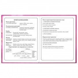 Дневник 1-4 класс 48л, твердый, ЮНЛАНДИЯ, выборочный лак, с подсказом, Панда, 107597