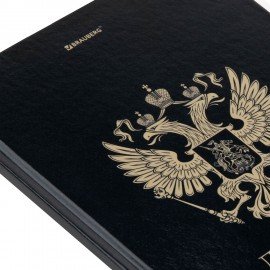 Дневник 1-11 класс 40л, твердый, BRAUBERG, глянцевая ламинация, Герб, 107598