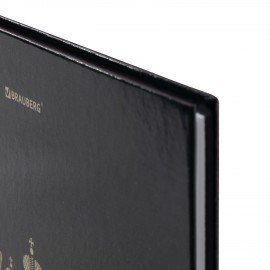 Дневник 1-11 класс 40л, твердый, BRAUBERG, глянцевая ламинация, Герб, 107598