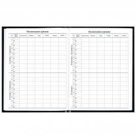 Дневник 1-11 класс 40л, твердый, BRAUBERG, глянцевая ламинация, Герб, 107598