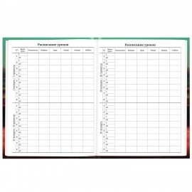 Дневник 1-11 класс 40л, твердый, BRAUBERG, глянцевая ламинация, Пушистый хулиган, 107599