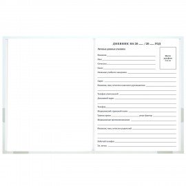 Дневник 1-11 класс 40л, твердый, BRAUBERG, матовая ламинация, Котёнок, 107601