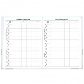 Дневник 1-11 класс 40л, твердый, BRAUBERG, матовая ламинация, Котёнок, 107601