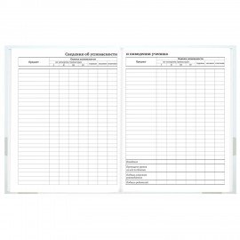 Дневник 1-11 класс 40л, твердый, BRAUBERG, матовая ламинация, Котёнок, 107601