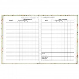 Дневник 1-11 класс 40л, твердый, BRAUBERG, матовая ламинация, Blossom, 107603