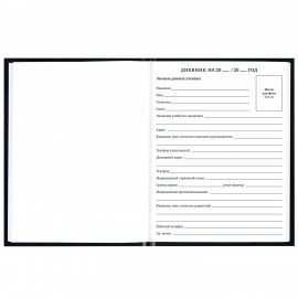 Дневник 1-11 класс 40л, твердый, BRAUBERG, матовая ламинация, Minimal, 107604