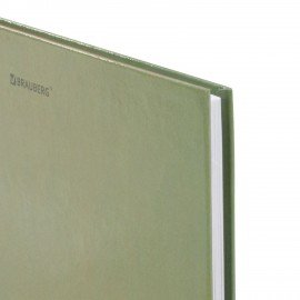 Дневник 1-11 класс 40л, твердый, BRAUBERG, глянцевая ламинация, Однотонный, 107607