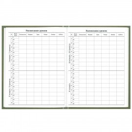 Дневник 1-11 класс 40л, твердый, BRAUBERG, глянцевая ламинация, Однотонный, 107607