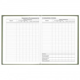 Дневник 1-11 класс 40л, твердый, BRAUBERG, глянцевая ламинация, Однотонный, 107607