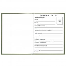 Дневник 1-11 класс 40л, твердый, BRAUBERG, глянцевая ламинация, Однотонный, 107607