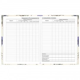 Дневник 1-11 класс 40л, твердый, BRAUBERG, глянцевая ламинация, Flowers, 107608