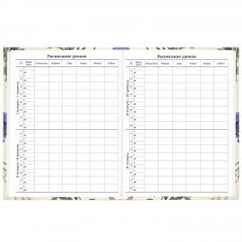 Дневник 1-11 класс 40л, твердый, BRAUBERG, глянцевая ламинация, Flowers, 107608