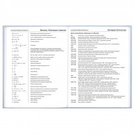Дневник 5-11 класс 48л, твердый, BRAUBERG, глянцевая ламинация, с подсказом, Пушистый мечтатель, 107609