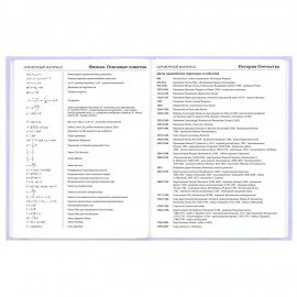 Дневник 5-11 класс 48л, твердый, BRAUBERG, матовая ламинация, с подсказом, Классика, 107610