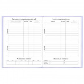 Дневник 5-11 класс 48л, твердый, BRAUBERG, матовая ламинация, с подсказом, Классика, 107610