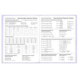 Дневник 5-11 класс 48л, твердый, BRAUBERG, матовая ламинация, с подсказом, Классика, 107610