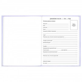 Дневник 5-11 класс 48л, твердый, BRAUBERG, матовая ламинация, с подсказом, Классика, 107610