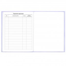 Дневник 5-11 класс 48л, твердый, BRAUBERG, матовая ламинация, с подсказом, Классика, 107610