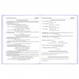 Дневник 5-11 класс 48л, твердый, BRAUBERG, матовая ламинация, с подсказом, Классика, 107610