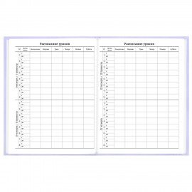 Дневник 5-11 класс 48л, твердый, BRAUBERG, матовая ламинация, с подсказом, Классика, 107610