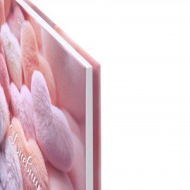 Дневник 5-11 класс 48л, твердый, BRAUBERG, матовая ламинация, с подсказом, Пушистые Сердечки, 107611