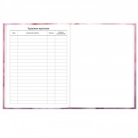 Дневник 5-11 класс 48л, твердый, BRAUBERG, матовая ламинация, с подсказом, Пушистые Сердечки, 107611