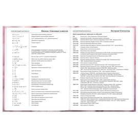 Дневник 5-11 класс 48л, твердый, BRAUBERG, матовая ламинация, с подсказом, Пушистые Сердечки, 107611