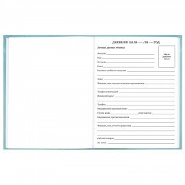 Дневник 5-11 класс 48л, твердый, BRAUBERG, глянцевая ламинация, с подсказом, МИКС УНИВЕРСАЛЬНЫЙ, 107612