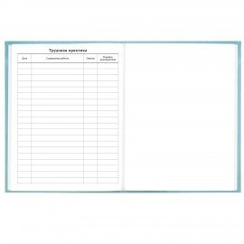 Дневник 5-11 класс 48л, твердый, BRAUBERG, глянцевая ламинация, с подсказом, МИКС УНИВЕРСАЛЬНЫЙ, 107612