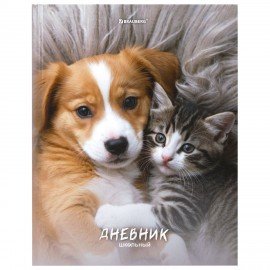 Дневник 5-11 класс 48л, твердый, BRAUBERG, глянцевая ламинация, с подсказом, МИКС УНИВЕРСАЛЬНЫЙ, 107612