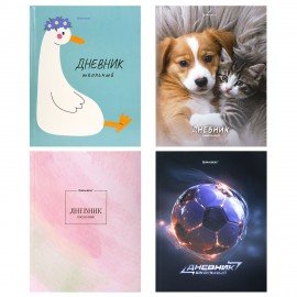 Дневник 5-11 класс 48л, твердый, BRAUBERG, глянцевая ламинация, с подсказом, МИКС УНИВЕРСАЛЬНЫЙ, 107612