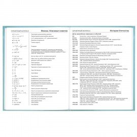 Дневник 5-11 класс 48л, твердый, BRAUBERG, глянцевая ламинация, с подсказом, МИКС УНИВЕРСАЛЬНЫЙ, 107612