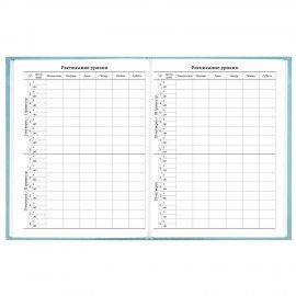 Дневник 5-11 класс 48л, твердый, BRAUBERG, глянцевая ламинация, с подсказом, МИКС УНИВЕРСАЛЬНЫЙ, 107612