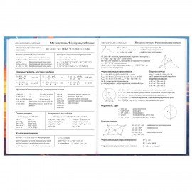 Дневник 5-11 класс 48л, твердый, BRAUBERG, глянцевая ламинация, с подсказом, Футбол, 107613