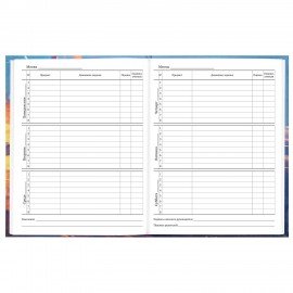 Дневник 5-11 класс 48л, твердый, BRAUBERG, глянцевая ламинация, с подсказом, Футбол, 107613