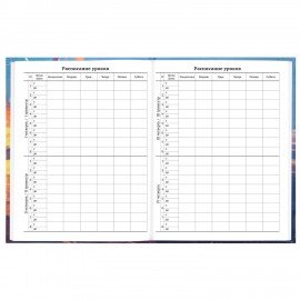 Дневник 5-11 класс 48л, твердый, BRAUBERG, глянцевая ламинация, с подсказом, Футбол, 107613